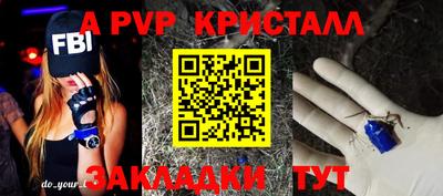 прущие грибы Усть-Илимск