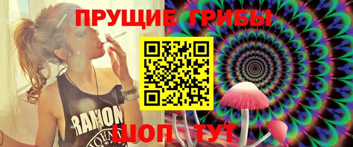 Псилоцибиновые грибы Cubensis  Вход с VPN  Славгород 