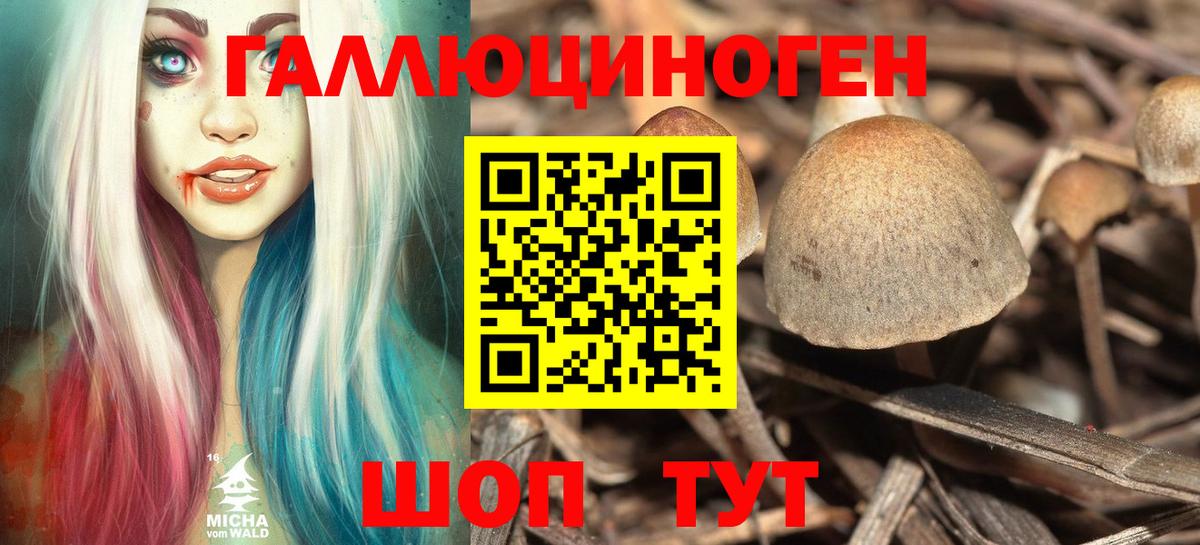 Псилоцибиновые грибы ЛСД Славгород